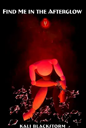 Find Me in the Afterglow (A Nihilist's Dream) poster