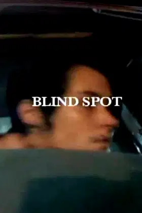 Blind Spot poster