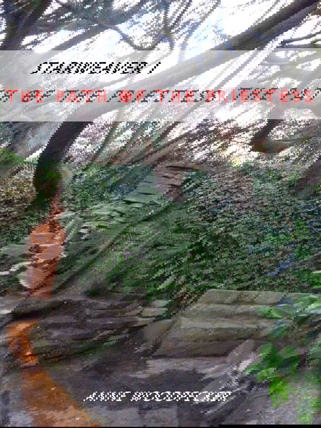 The Path of the Priestess (StarWeaver I) poster