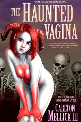 The Haunted Vagina poster