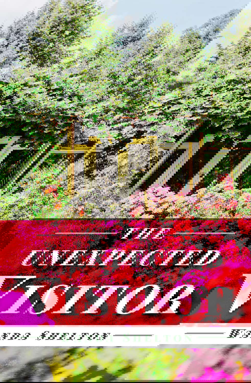 The Unexpected Visitor poster