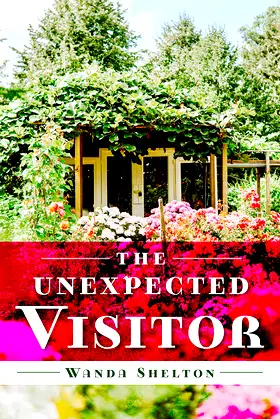 The Unexpected Visitor poster