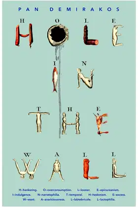 Hole in the Wall poster