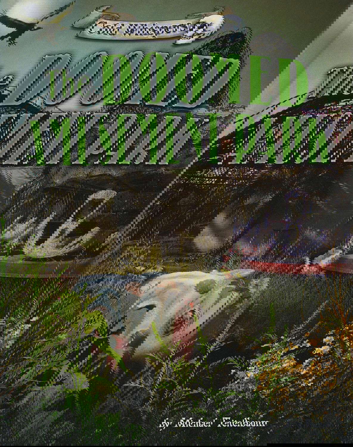 The Doomed Amusement Park (Cold Whispers) poster
