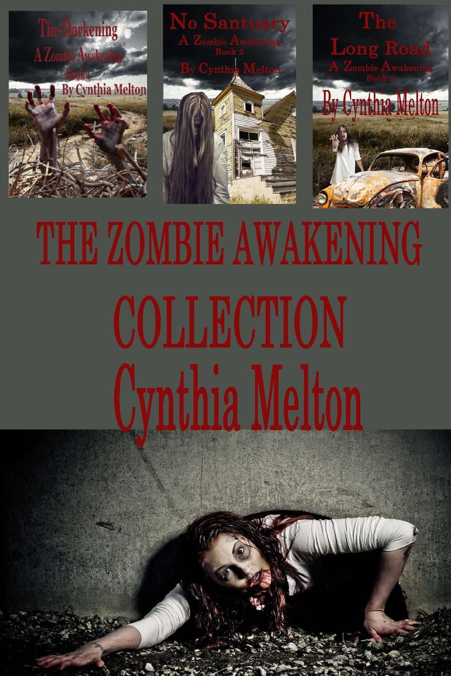 The Zombie Awakening poster