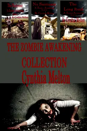 The Zombie Awakening poster