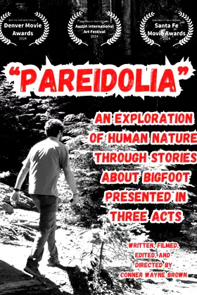 Pareidolia: An Exploration of Human Nature Through Stories About Bigfoot, Presented in Three Acts poster