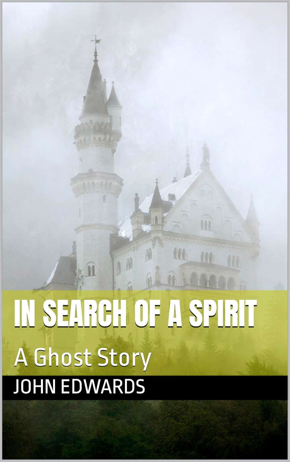 In Search of a Spirit: A Ghost Story poster
