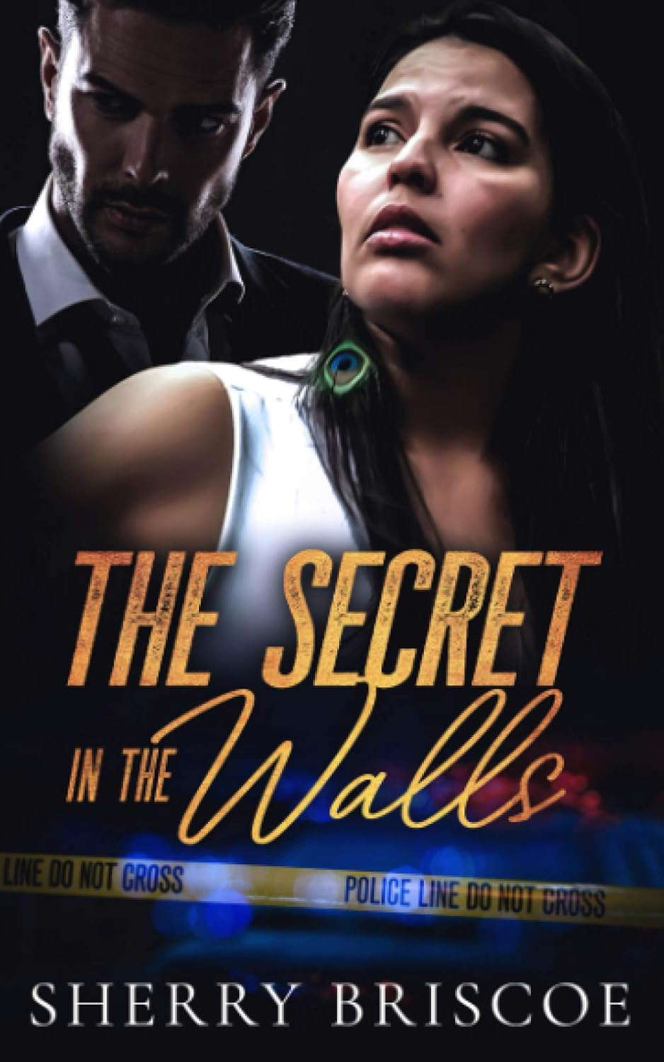 The Secret In The Walls (Moon Shadows) poster
