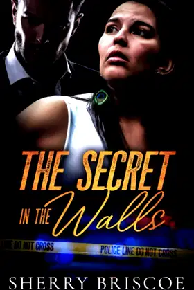 The Secret In The Walls (Moon Shadows) poster