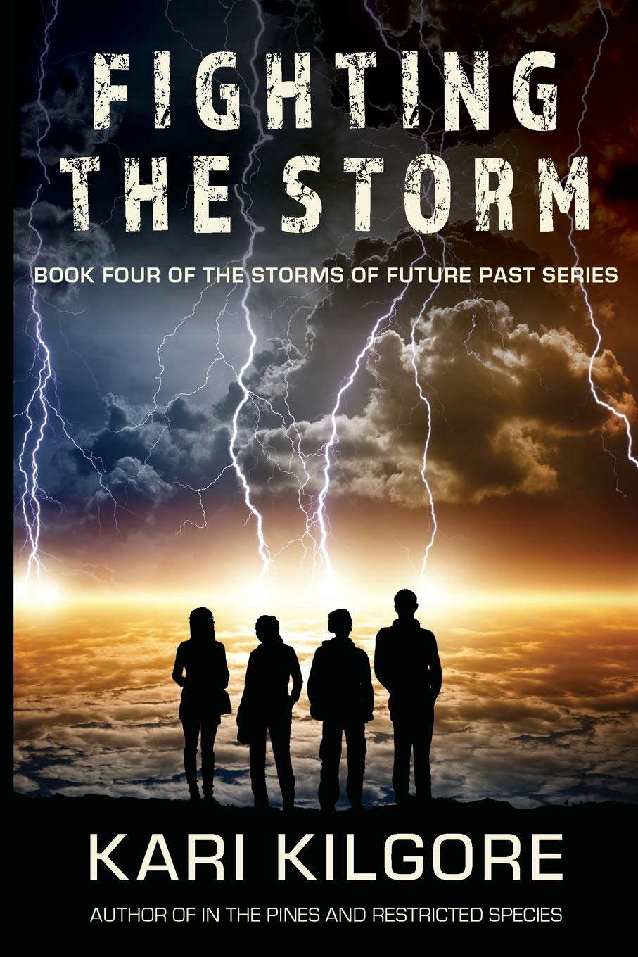 Fighting the Storm (The Storms of Future Past Series) poster