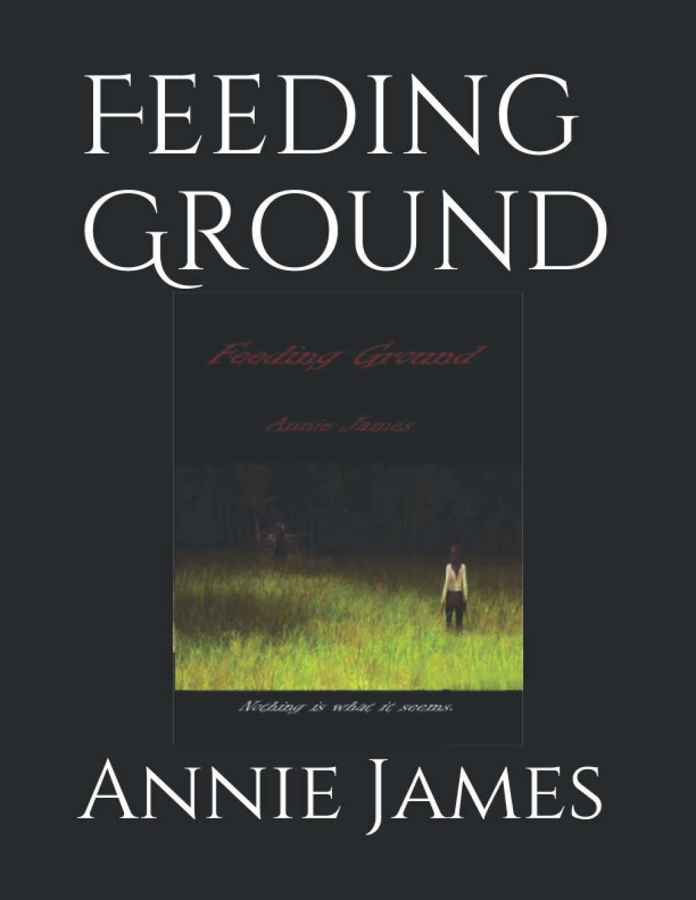 Feeding Ground poster