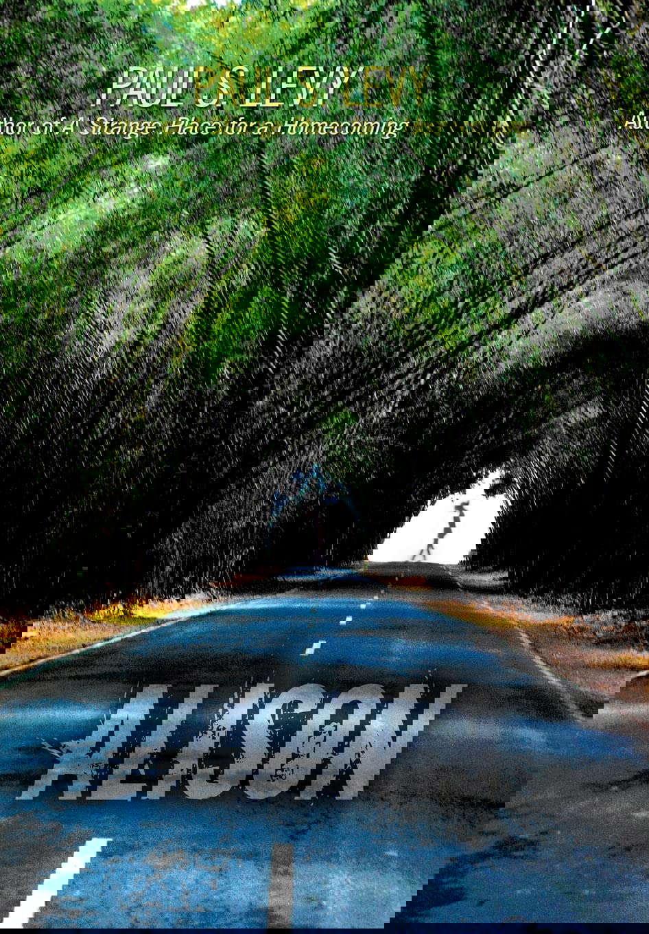Alison poster