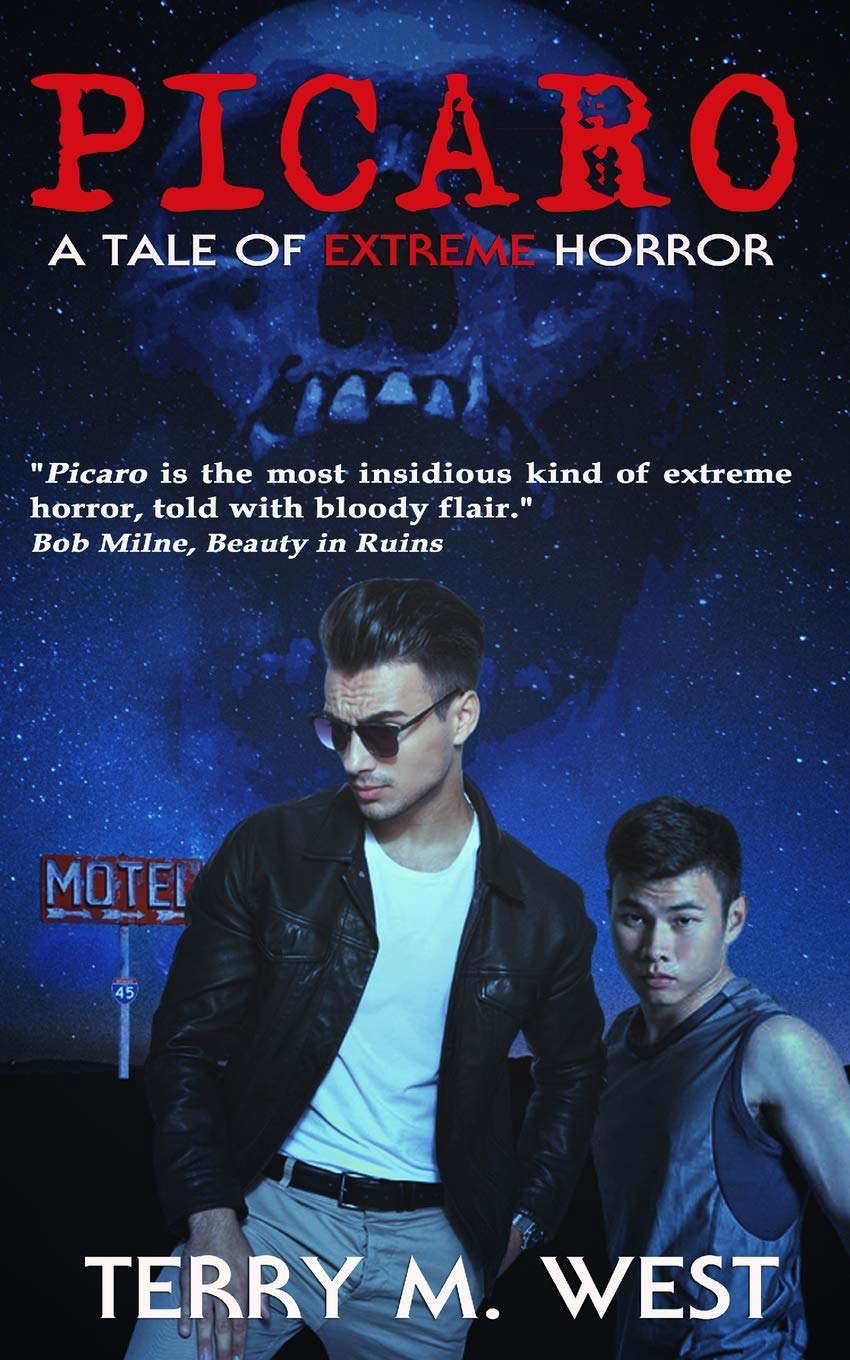 Picaro: A Tale of EXTREME Horror poster