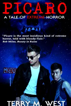 Picaro: A Tale of EXTREME Horror poster