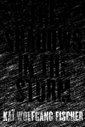 The Shadows in the Storm poster