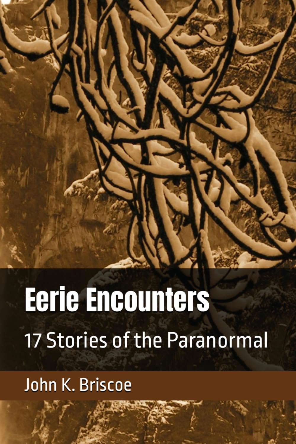 Eerie Encounters poster