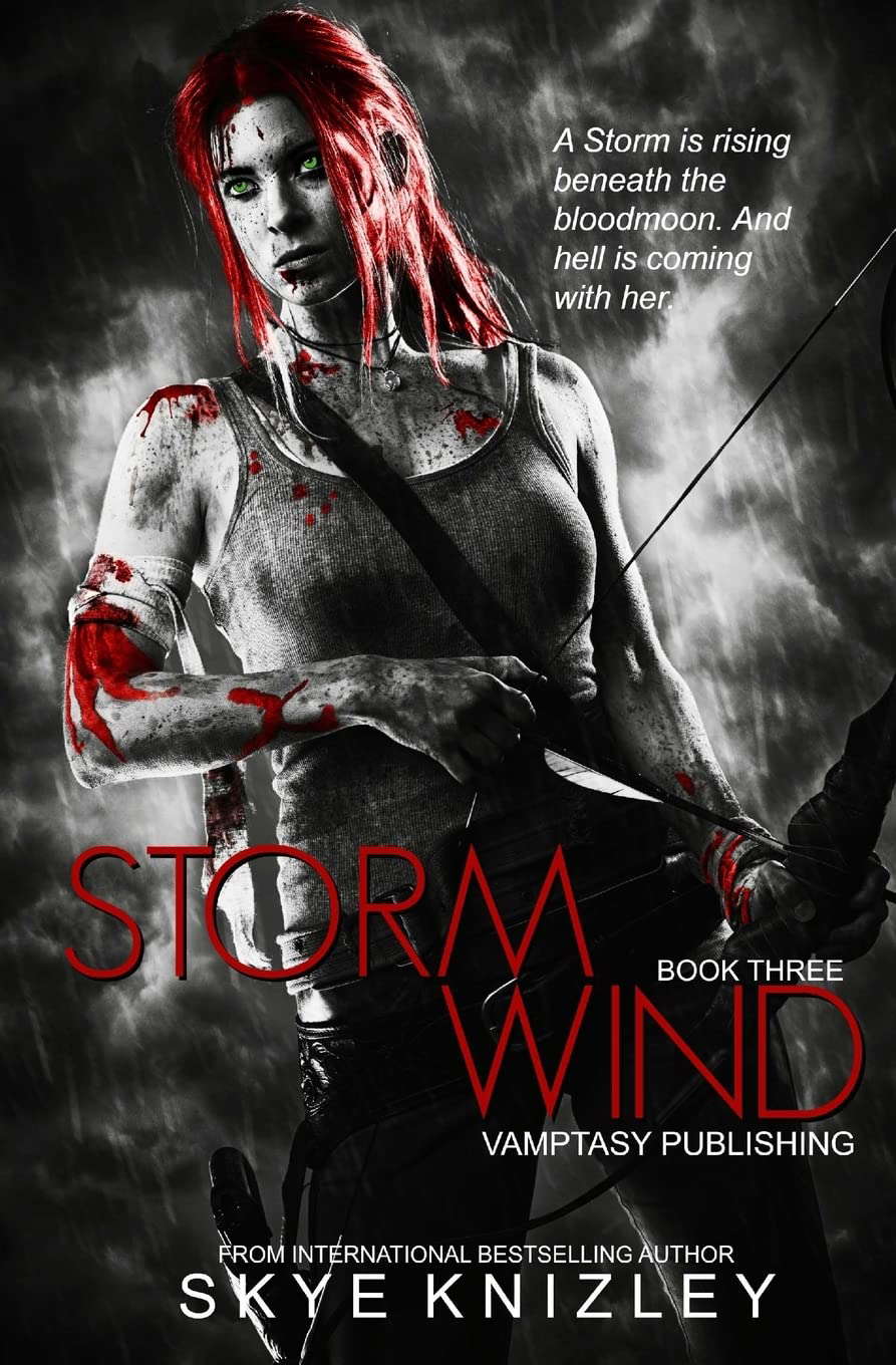 Stormwind (The Storm Chronicles) poster
