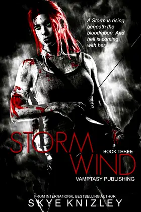 Stormwind (The Storm Chronicles) poster