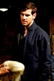 Fugitive poster