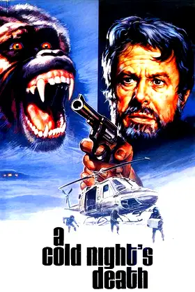 A Cold Night's Death poster