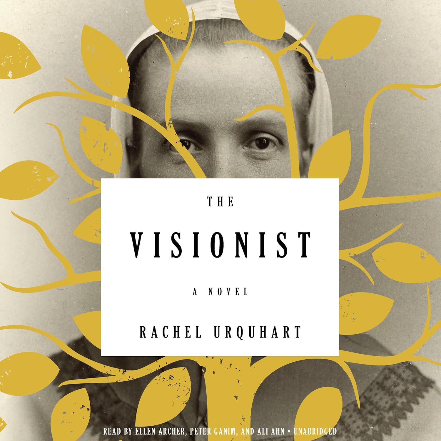 The Visionist poster