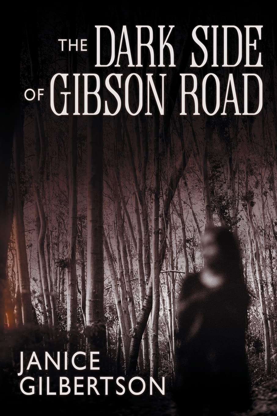 The Dark Side of Gibson Road poster