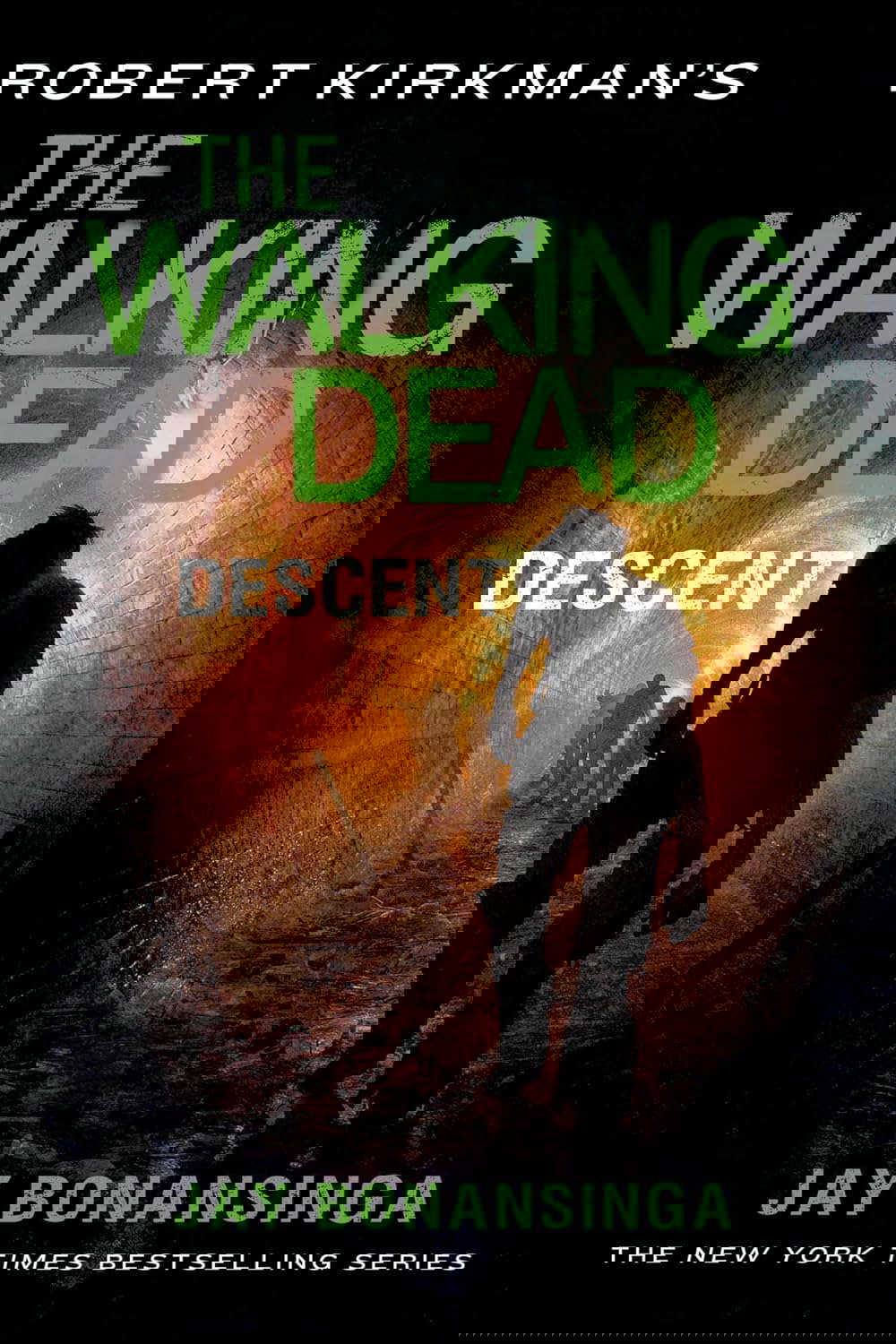 Robert Kirkman's The Walking Dead: Descent (The Walking Dead Series, 5) poster