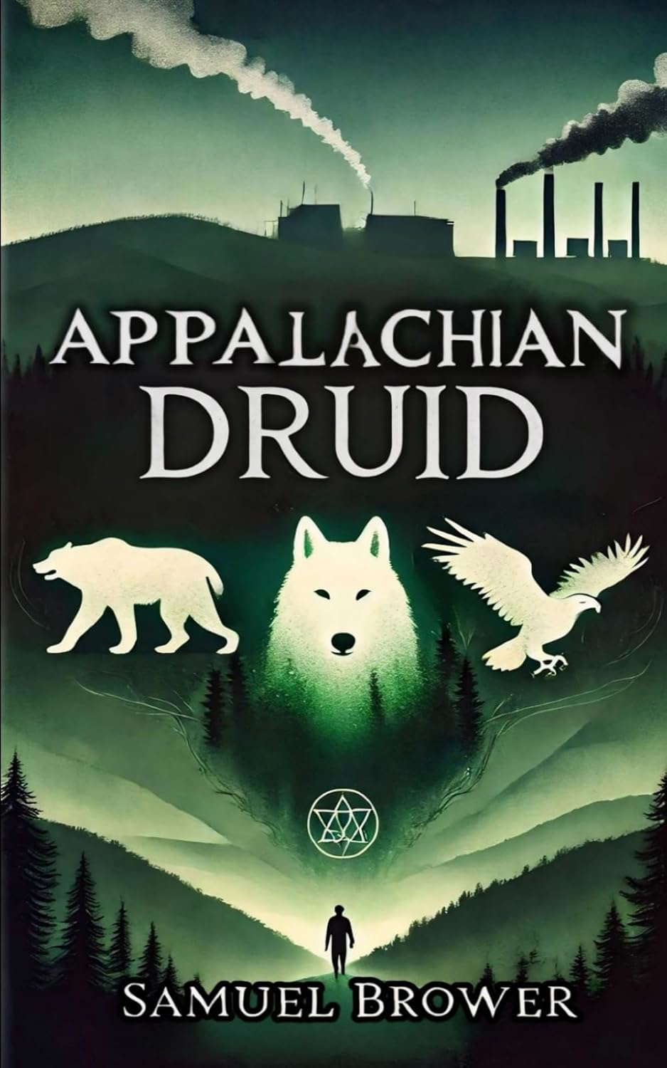 Appalachian Druid: Book One - The Mash poster