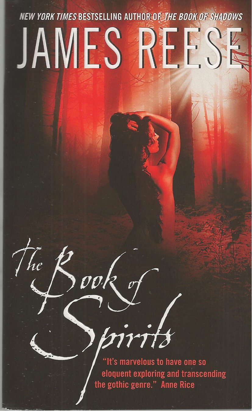 The Book of Spirits poster