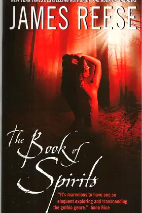 The Book of Spirits poster