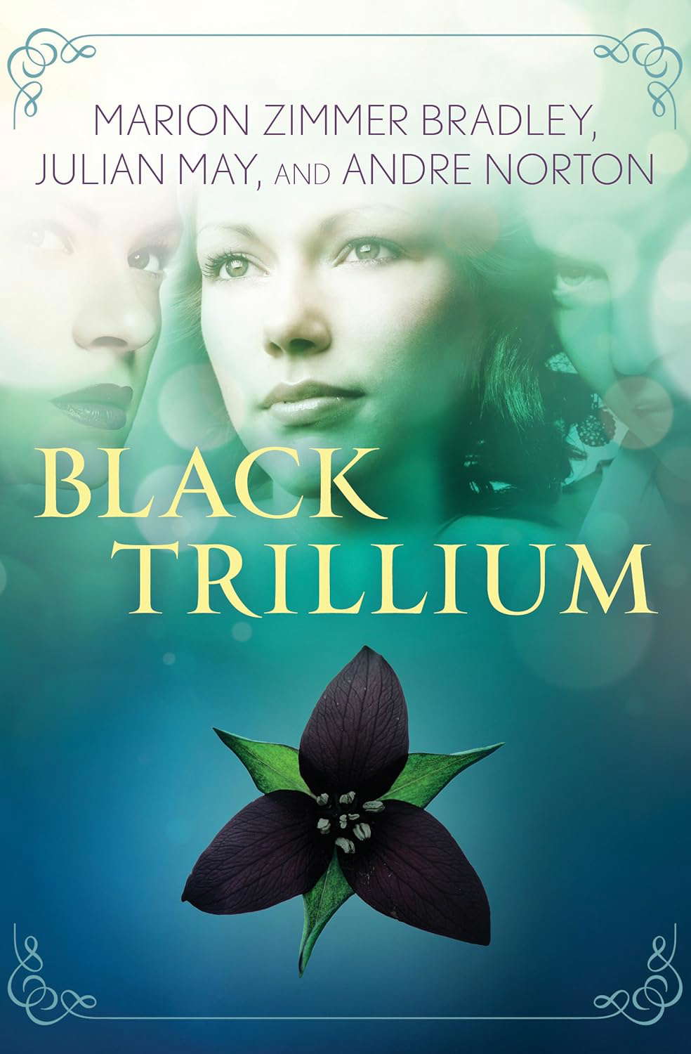 Black Trillium (The Saga of the Trillium Book 1) poster