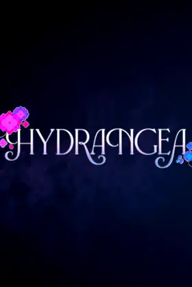 Hydrangea poster