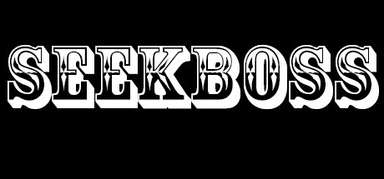 SEEKBOSS capsule