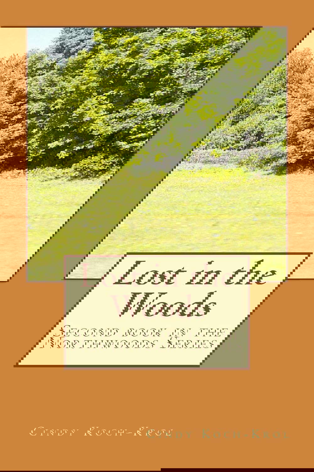 Lost in the Woods (Northwoods Book 2) poster