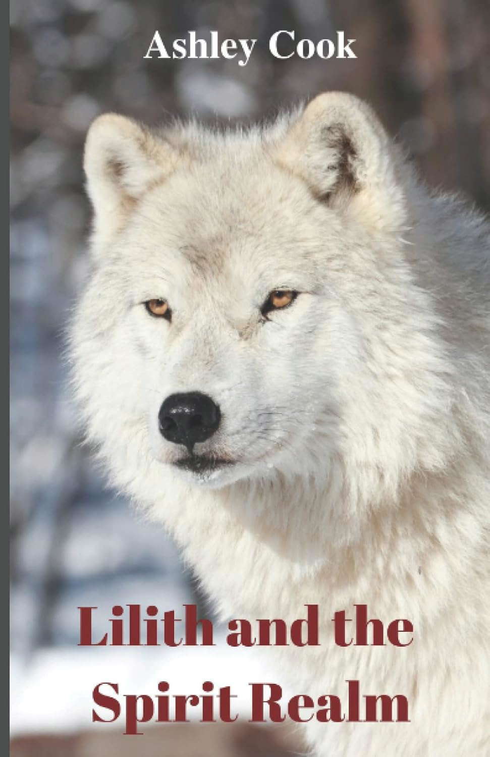 Lilith and the Spirit Realm poster