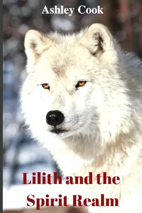 Lilith and the Spirit Realm poster