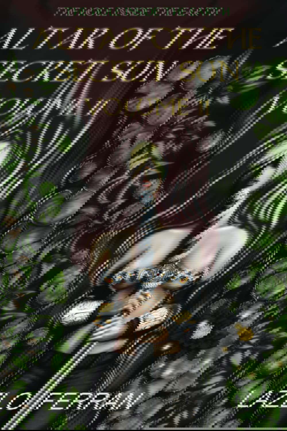 Altar of the Secret Sun: Volume 11 (The Hole Inside the Earth) poster