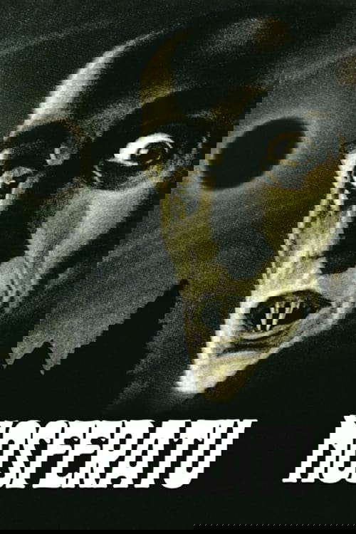 Nosferatu poster