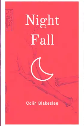 Night Fall poster