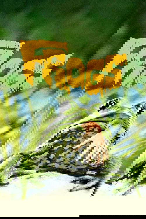 Frogs poster