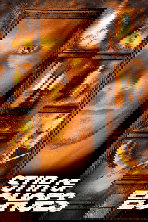 Stir of Echoes poster