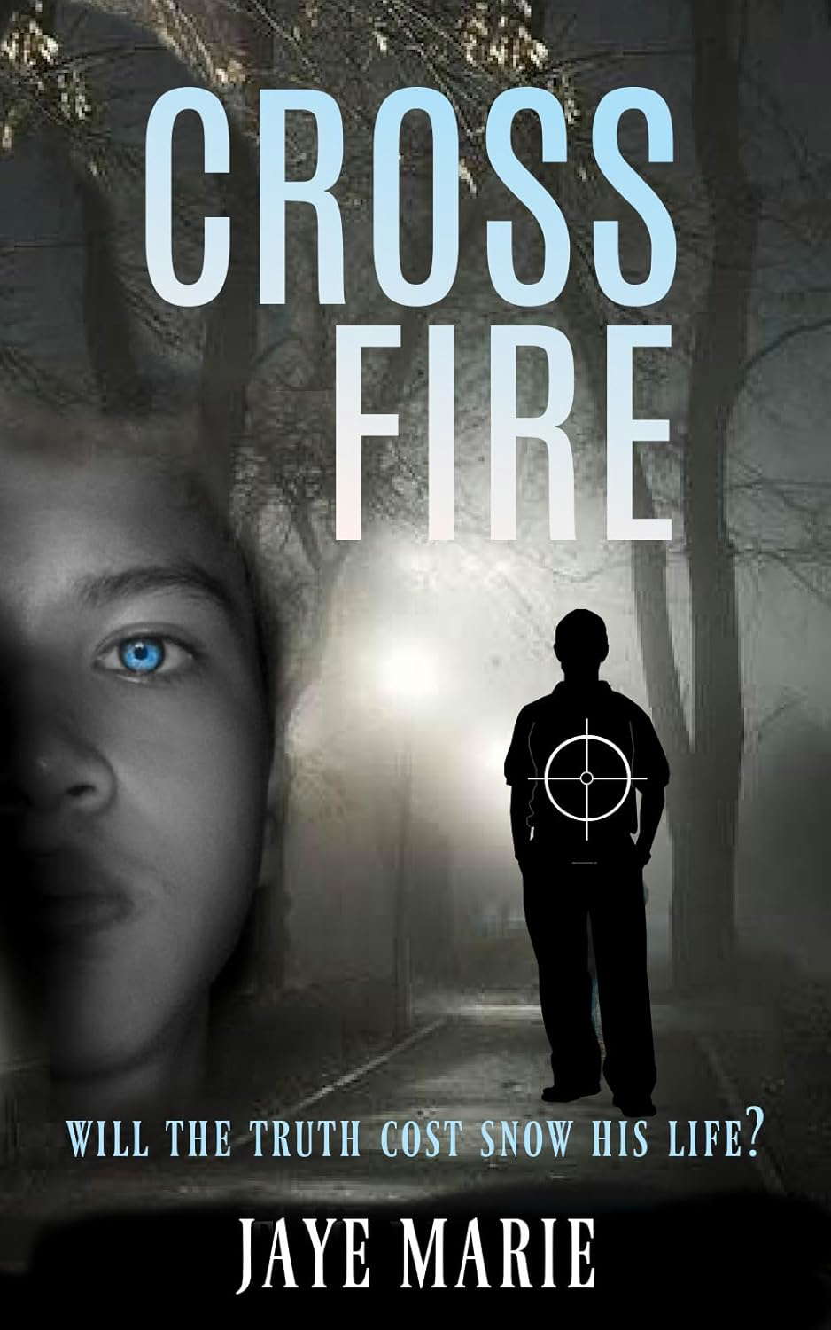 Cross Fire: a mystery thriller novel (DI Snow series Book 3) poster