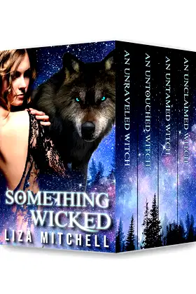 Something Wicked: The Complete Series poster