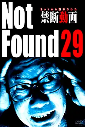 Not Found 29 poster