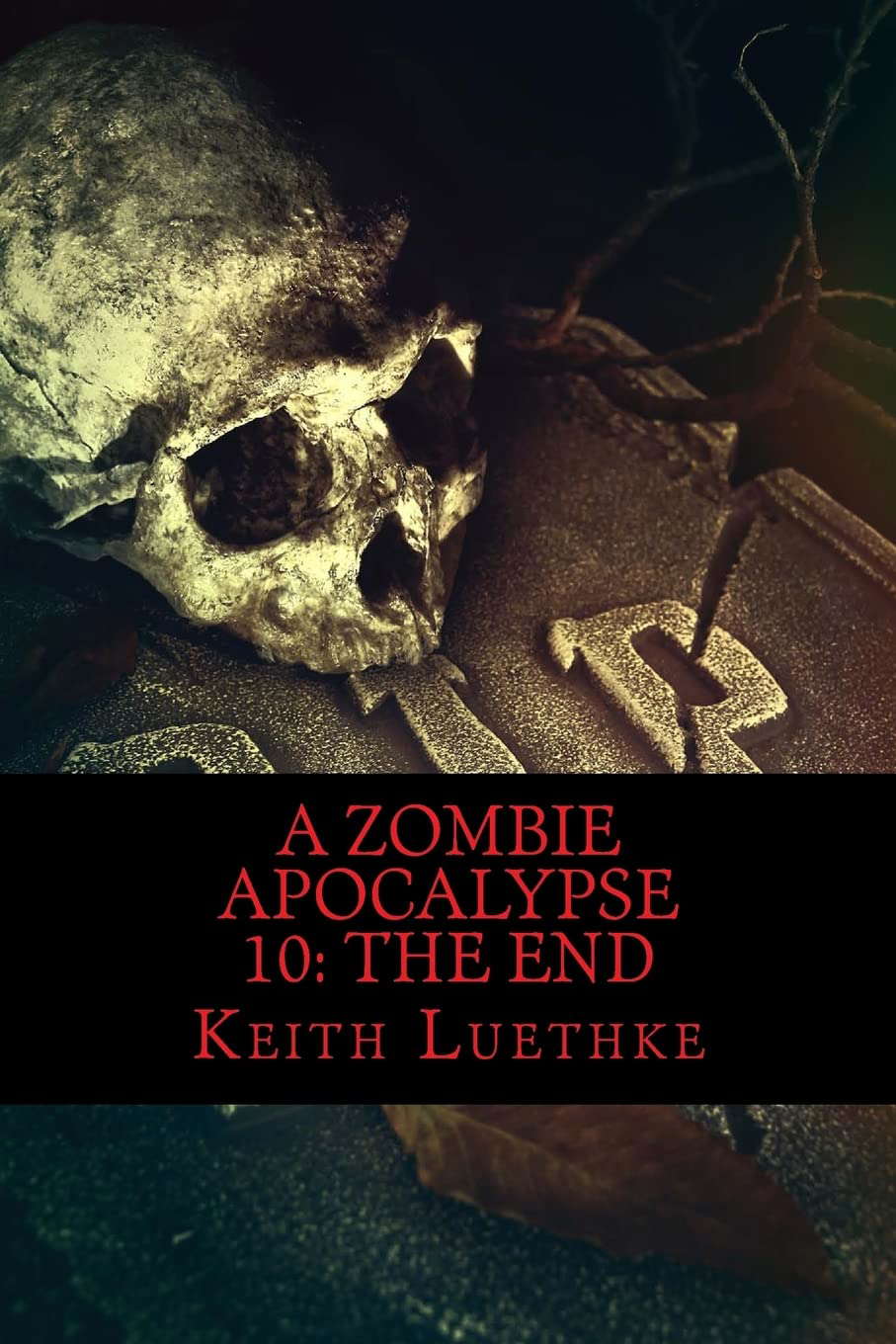 A Zombie Apocalypse 10: The End poster