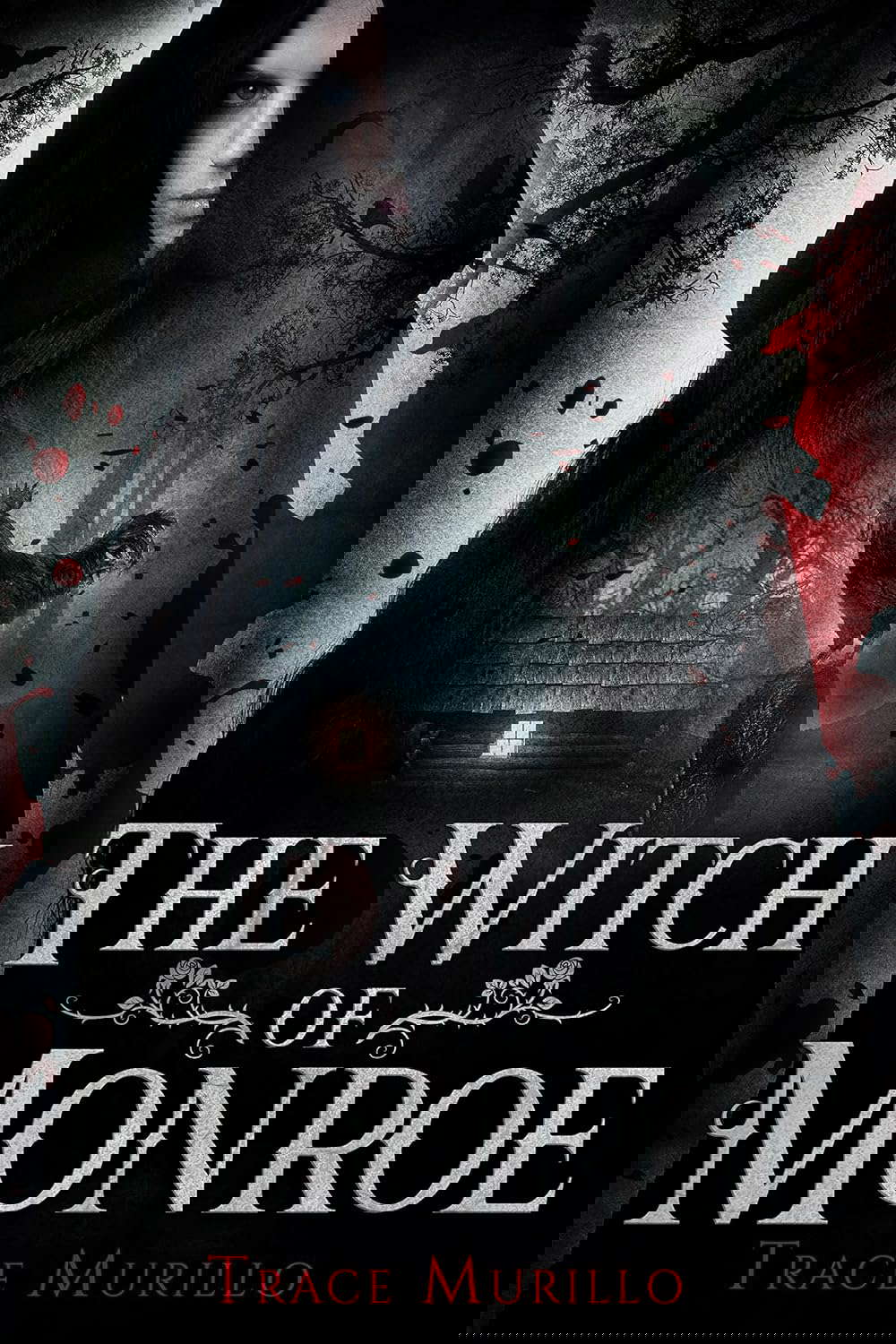 The Witch of Monroe (The Urban Legend Collection Book 2) poster