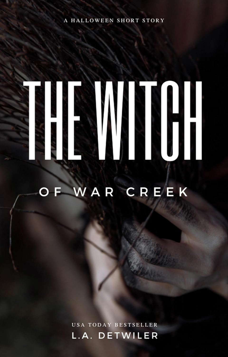 The Witch of War Creek poster