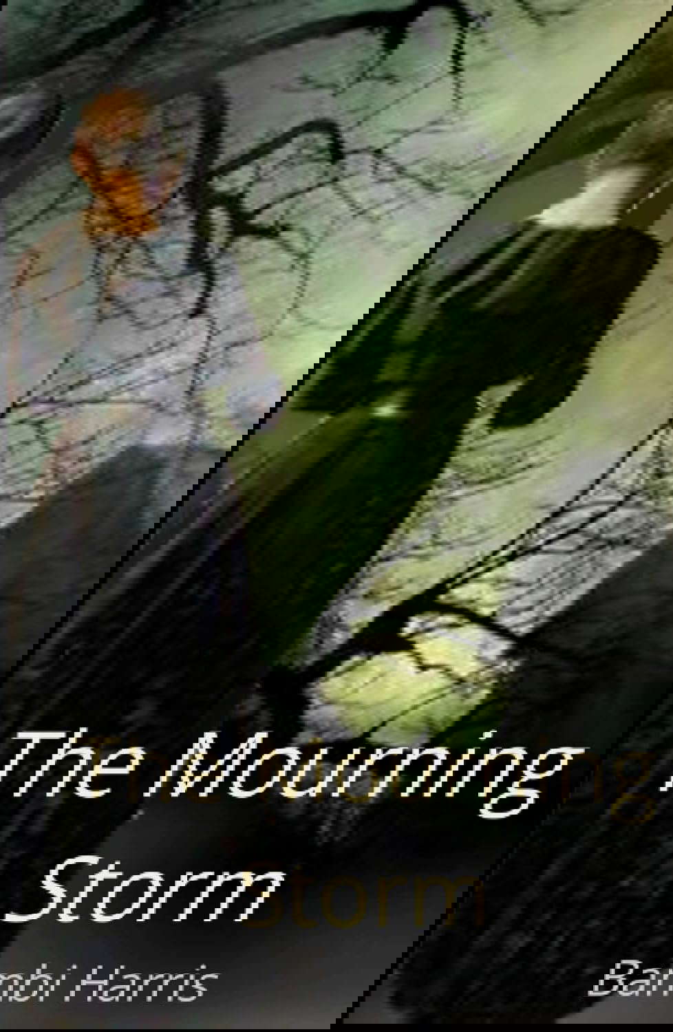 The Mourning Storm poster