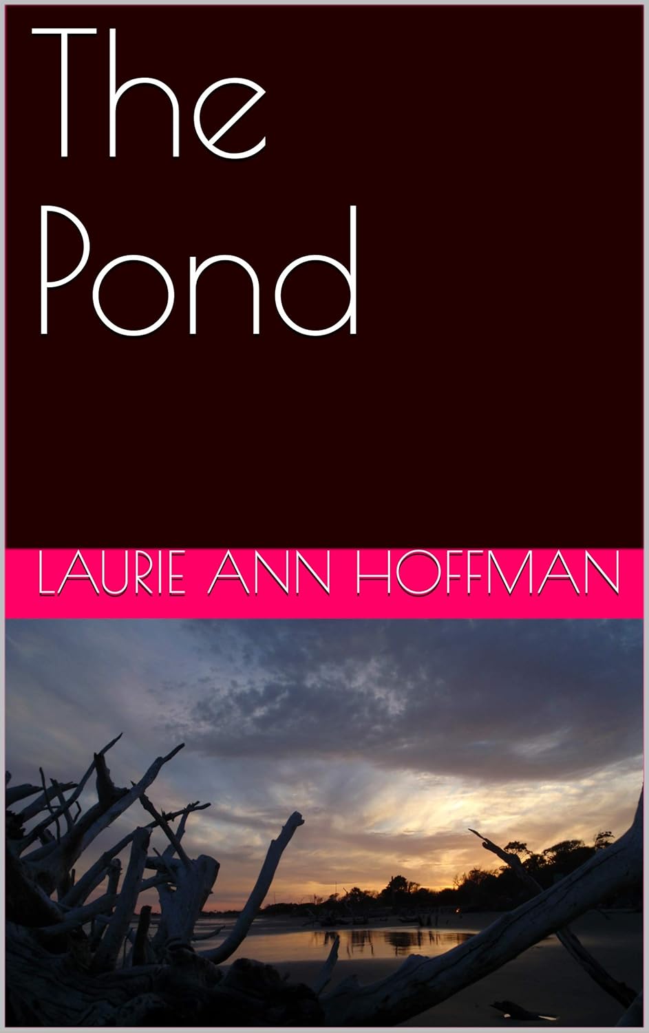 The Pond poster